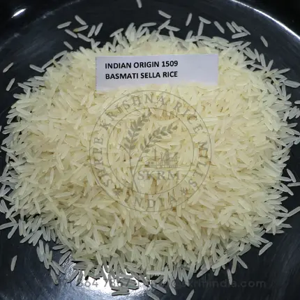 1509 Sella Basmati Rice