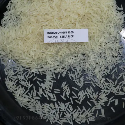 1509 Sella Basmati Rice