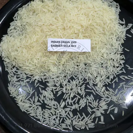 1509 Sella Basmati Rice