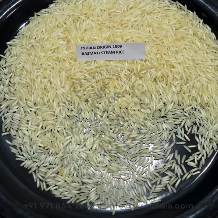 1509 Steam Basmati Rice