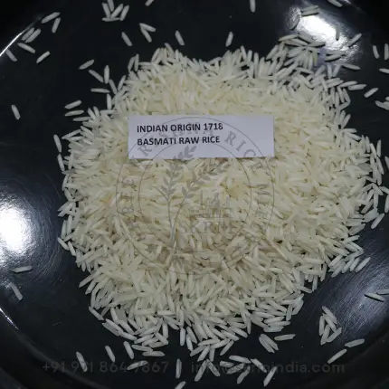 1718 Raw Basmati Rice