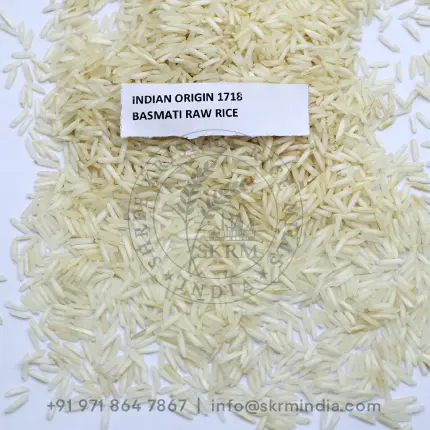 1718 Raw Basmati Rice