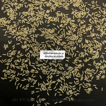 PR-14-Golden-Sella-Rice