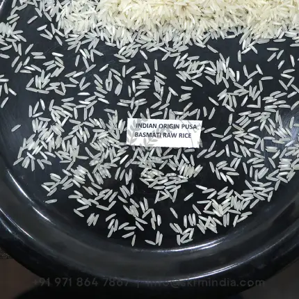PUSA Raw Basmati Rice