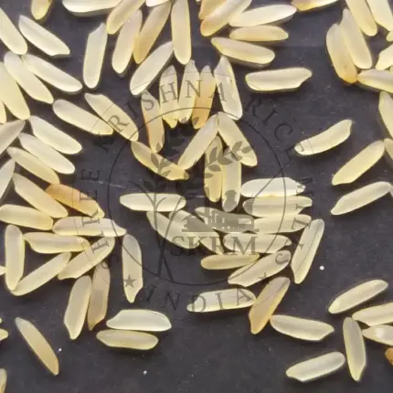 Parmal-Golden-Sella-Rice