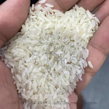 Sona Masoori Raw Rice
