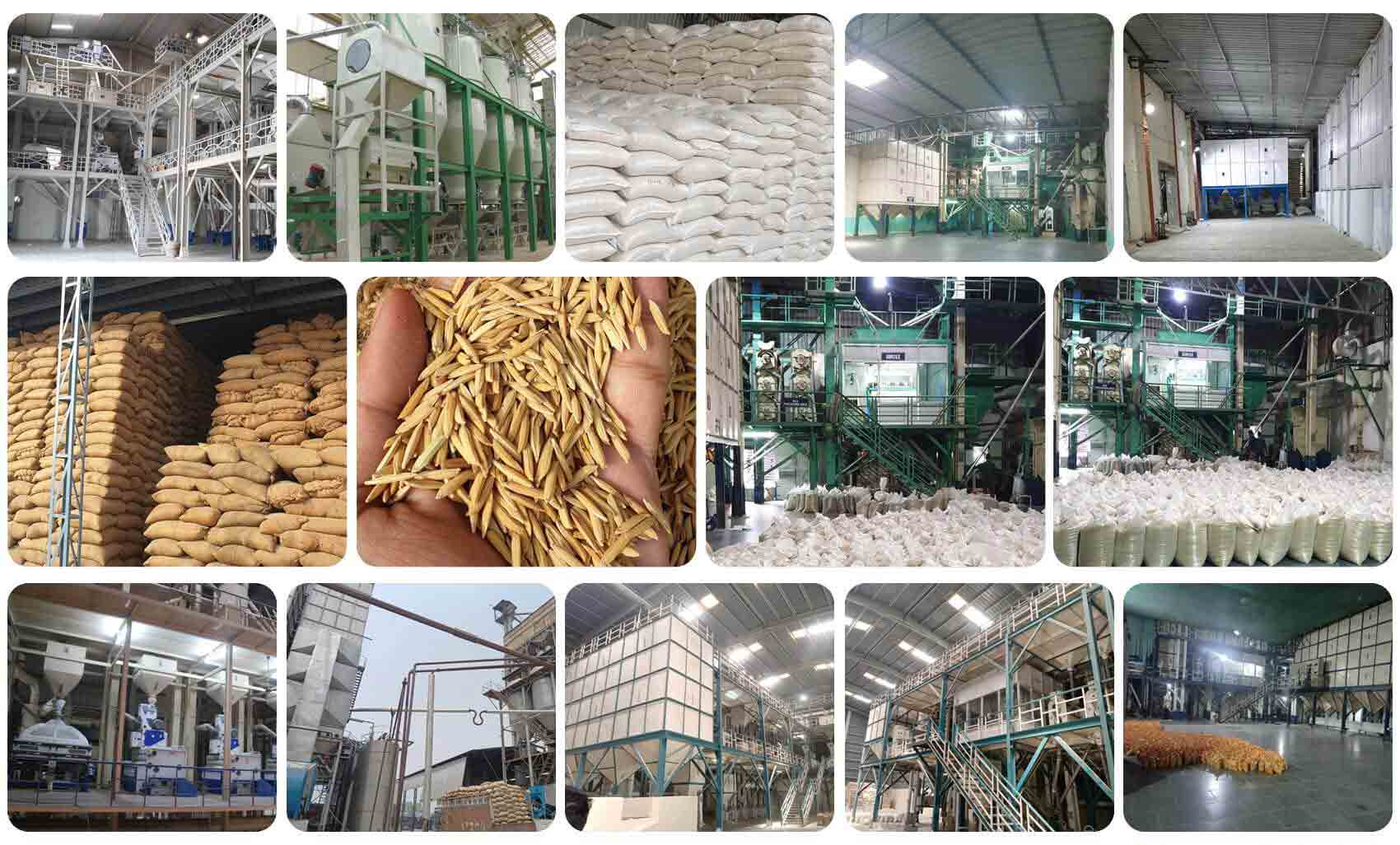 basmati rice manufacturer haryana india basmati rice manufacturer haryana india