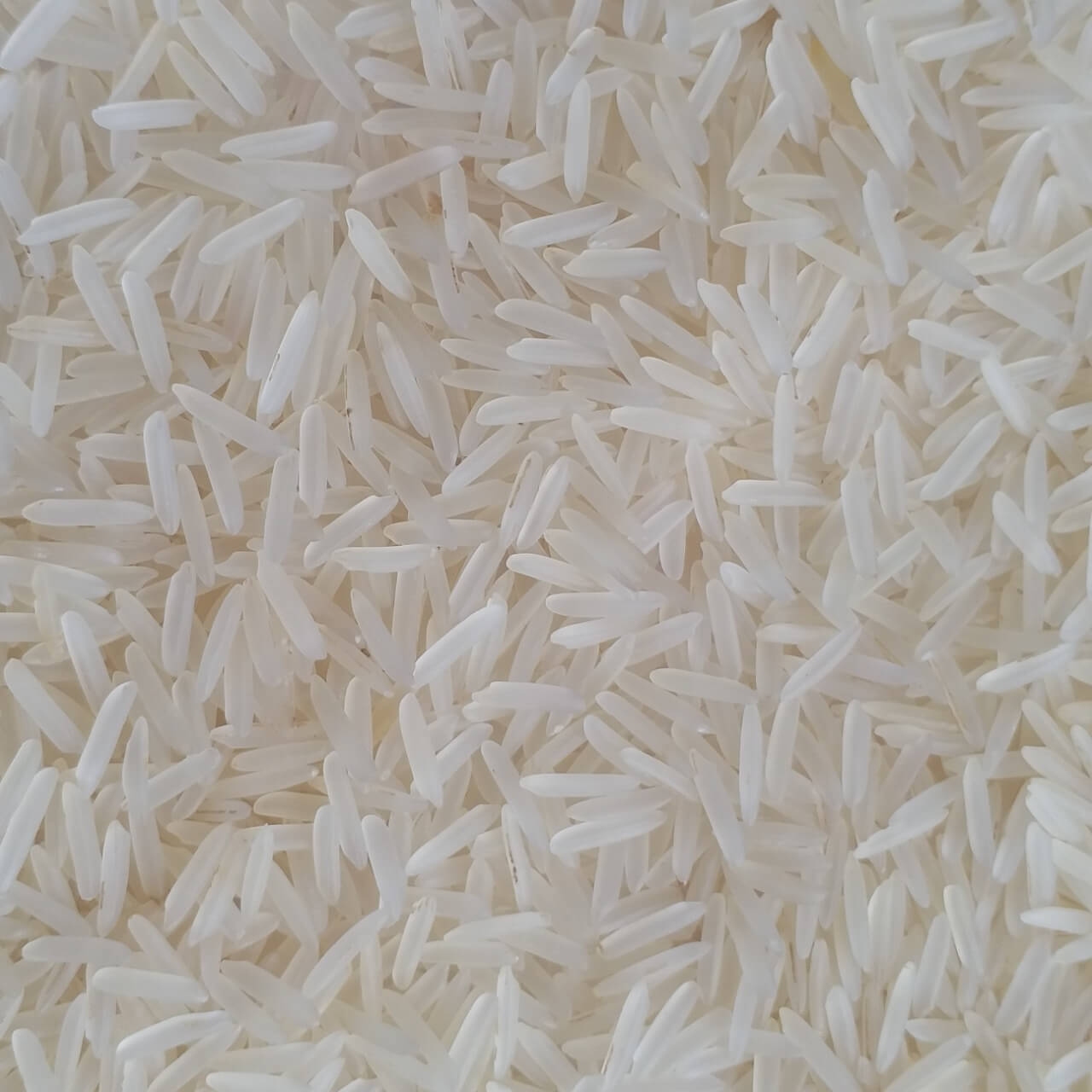 1401 PESTICIDE RESIDUE FREE RAW RICE