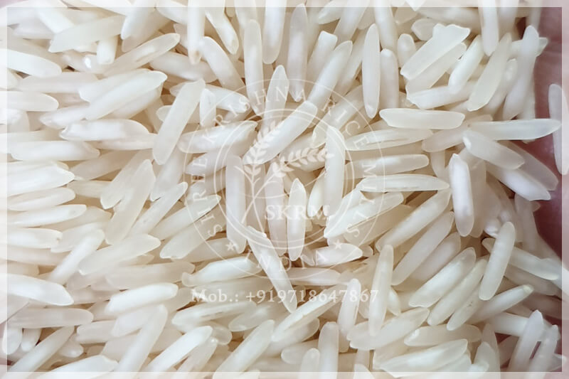 1509 Steam BASMATI RICE 1509 Steam BASMATI RICE