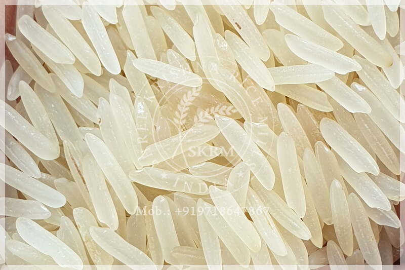 SUGANDHA PESTICIDE RESIDUE FREE SELLA RICE SUGANDHA PESTICIDE RESIDUE FREE SELLA RICE