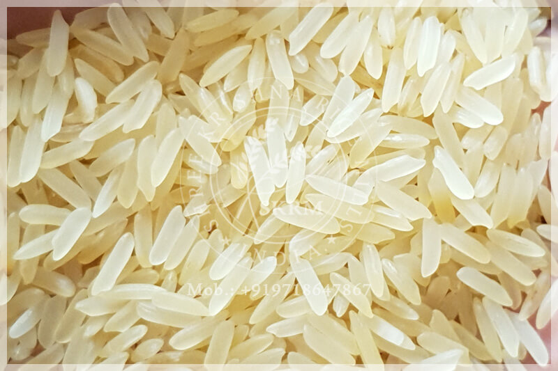PR11 GOLDEN SELLA RICE PR11 GOLDEN SELLA RICE