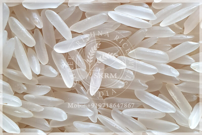 PR11 SELLA RICE PR11 SELLA RICE