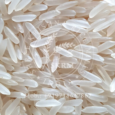 PR11 SELLA RICE