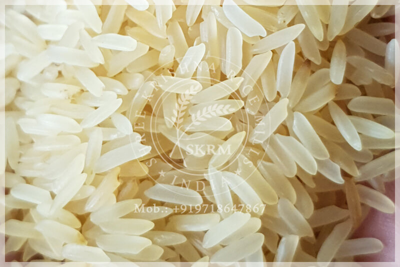 PR14 GOLDEN SELLA RICE