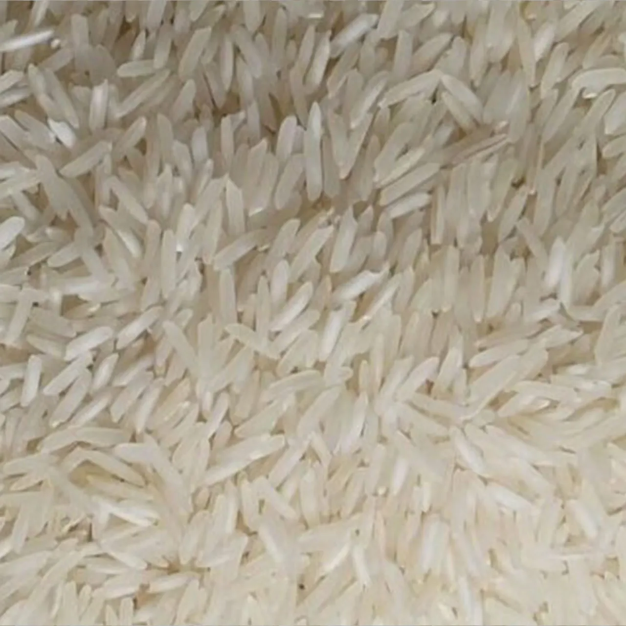 PUSA PESTICIDE RESIDUE FREE RAW RICE