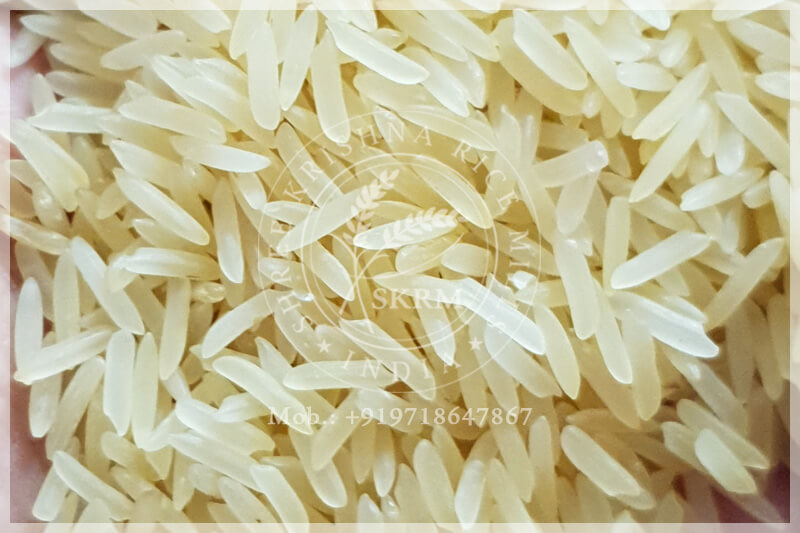 SHARBATI GOLDEN SELLA RICE SHARBATI GOLDEN SELLA RICE