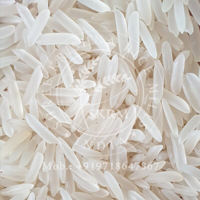 SHARBATI SELLA RICE