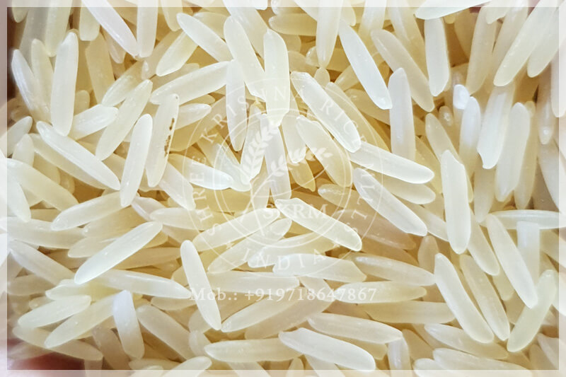 SUGANDHA GOLDEN SELLA RICE SUGANDHA GOLDEN SELLA RICE