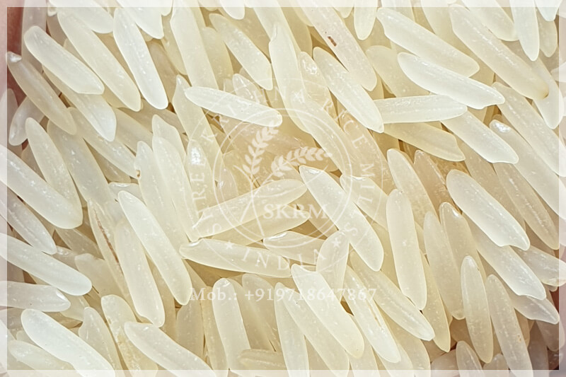 SUGANDHA SELLA RICE SUGANDHA SELLA RICE