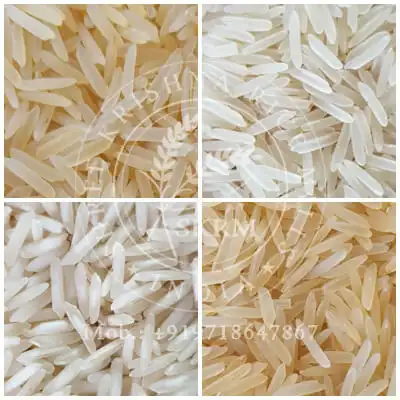 1509 Basmati Rice