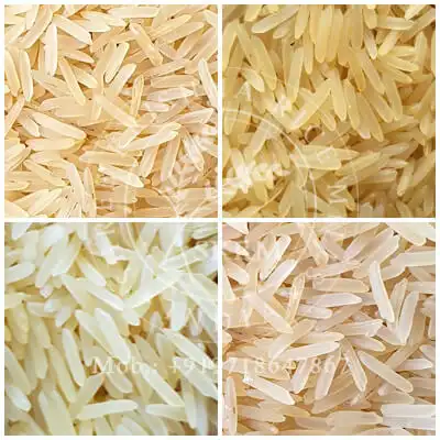 PESTICIDE RESIDUE FREE GOLDEN SELLA RICE