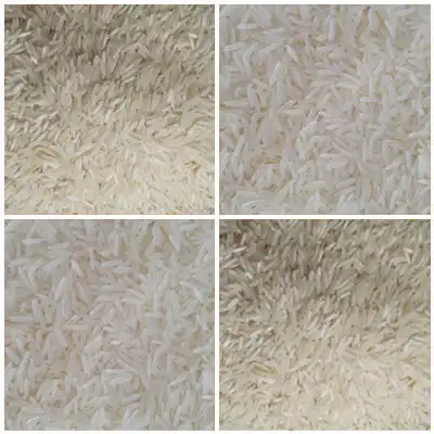 PESTICIDE RESIDUE FREE RAW RICE
