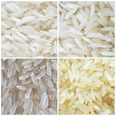 PR11 Non Basmati Rice