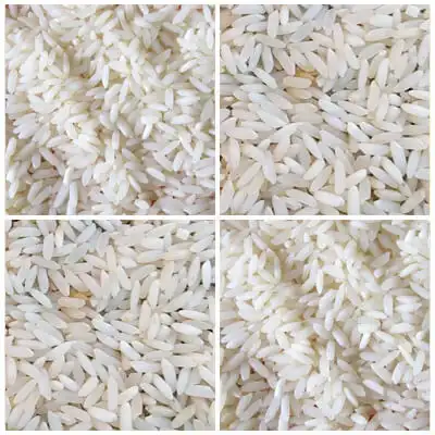 Sona Masoori Non Basmati Rice