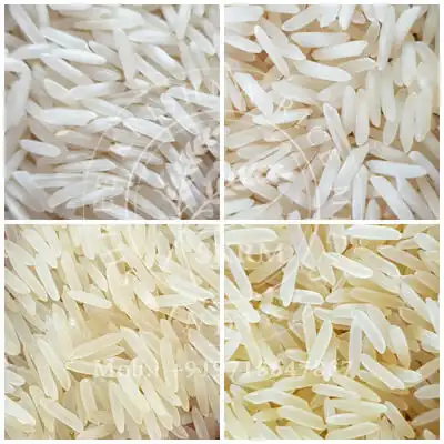 Sugandha Basmati Rice